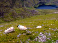 Carrantuohill